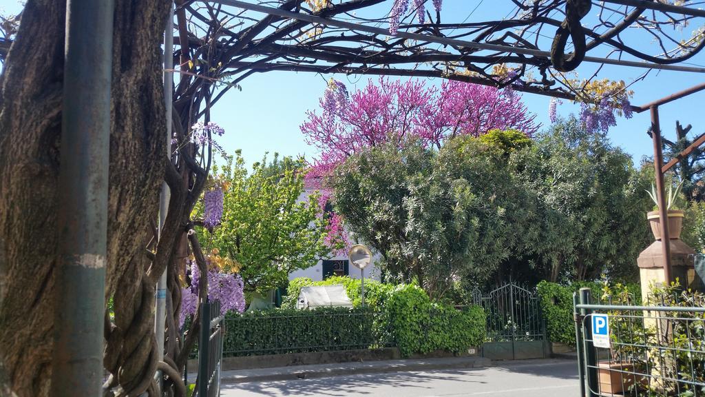 לוקה Hotel Stipino מראה חיצוני תמונה